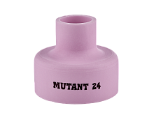  Mutant24 (38,9) IGS0733-SVA01