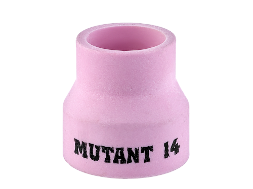  Mutant14 (22,8) IGS0731-SVA01