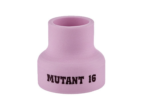  Mutant16 (25,9) IGS0732-SVA01